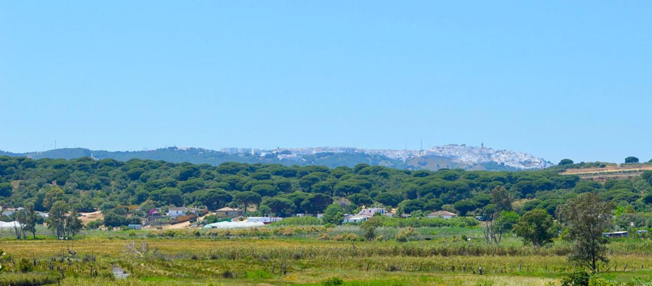 דירות ברבטה Poniente מראה חיצוני תמונה